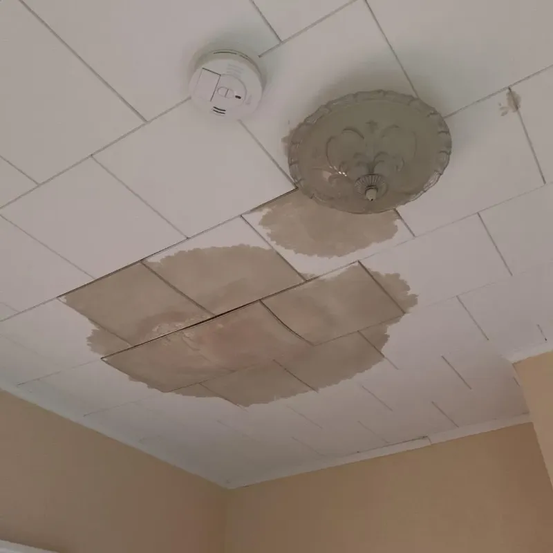 Ceiling Water Damage Repair in Tillman County, OK