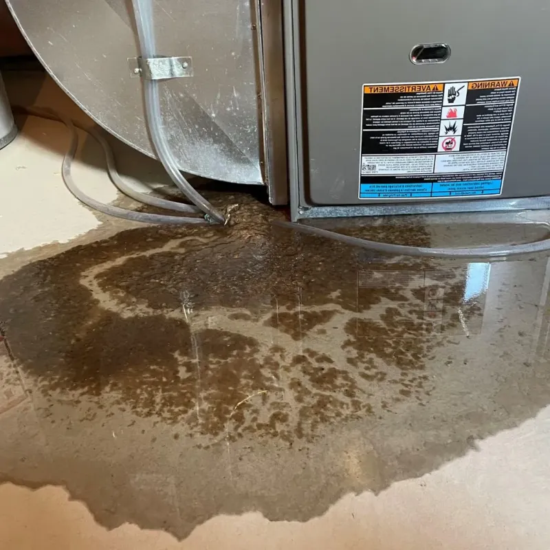 Pipe Burst and Leak Restoration in Tillman County, OK